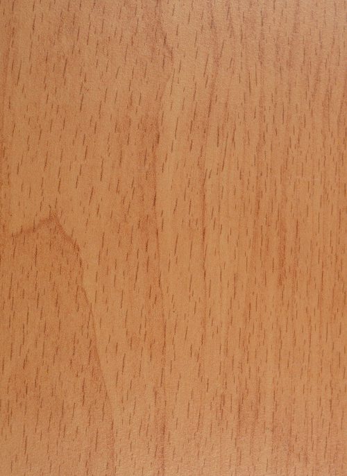 AlfaSurfaces Classic Beech 0084