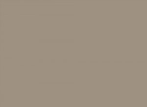 AlfaSurfaces Super Matt Sand 0335