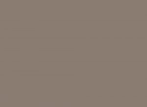 AlfaSurfaces Super Matt Sand Grey 0336