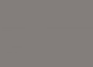 AlfaSurfaces Pet Matt Stone Grey 1148