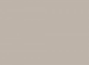 AlfaSurfaces Pet Matt Sahara 1176