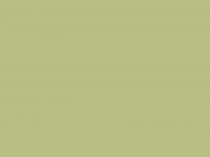 Πάνελ Acrylic L 1401 GL ΠΡΑΣΙΝΟ