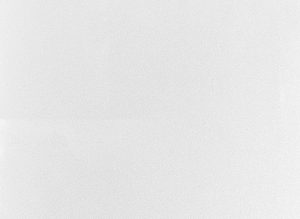 AlfaTops Standard 3308