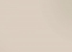 AlfaSurfaces Pet Gloss Beige 7315