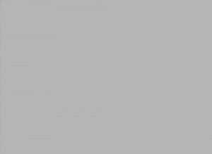 AlfaSurfaces Grey 0294