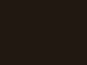 Πάνελ Acrylic brown