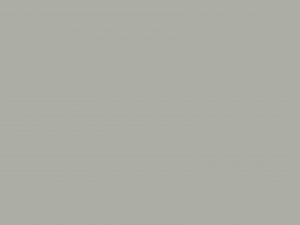 Πάνελ Acrylic sampagne gloss