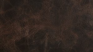 Compact Laminate Panel 1303