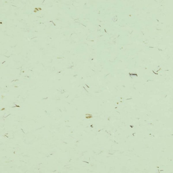 Βινυλικό Δάπεδο