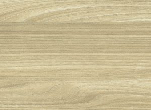 Πορτάκια Κουζίνας