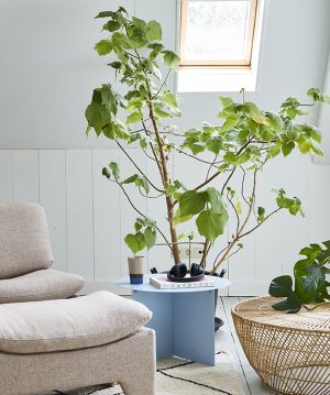 Τραπεζάκι σαλονιού MTA 2847 / by set