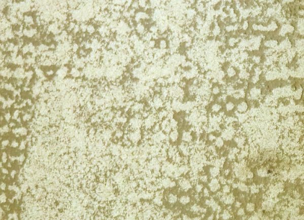 Τρισδιάστατα Ξύλινα Πάνελ