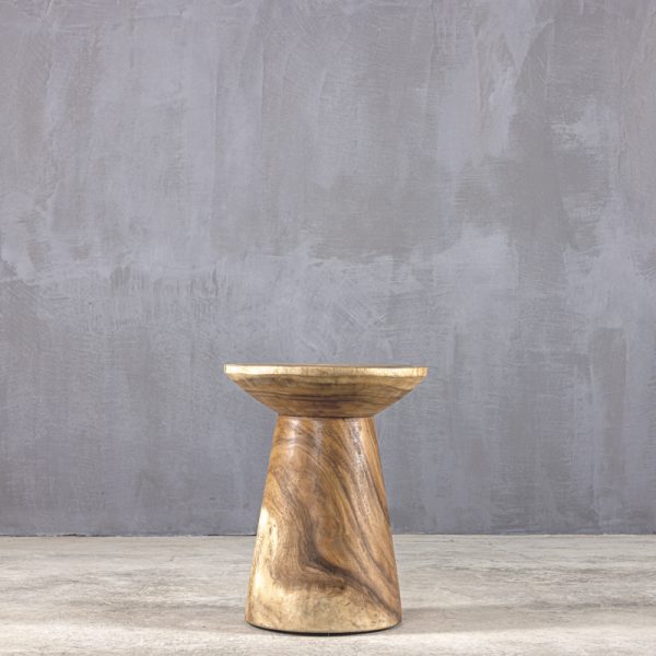 mushroom 40 suar suar